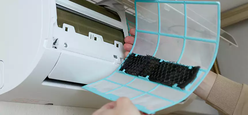 Gentle Ductwork Odor-Control Pet Dander Duct Cleaning in Marion, IA