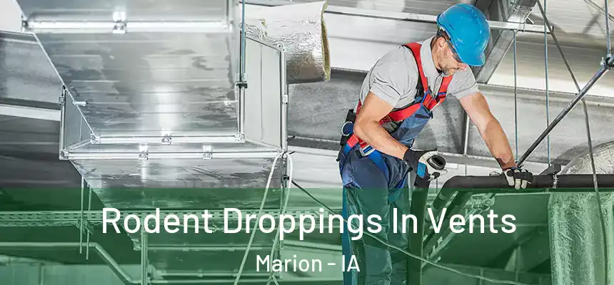  Rodent Droppings In Vents Marion - IA