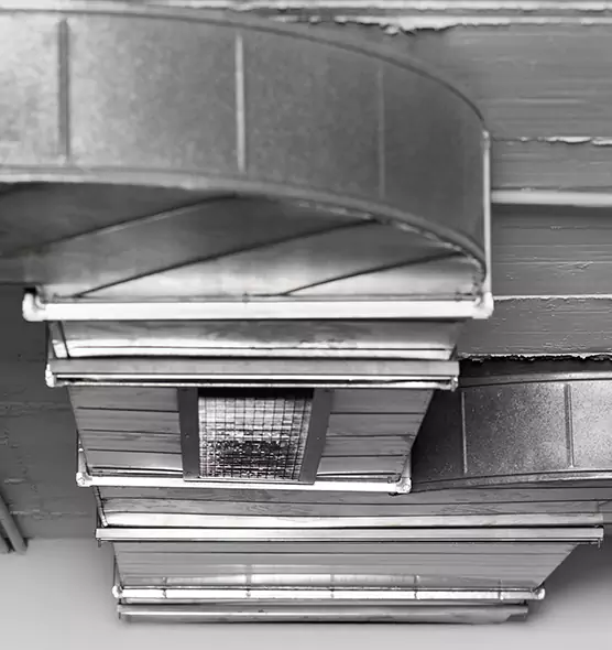 Professional Air Duct Pet Hair Removal in Marion, IA