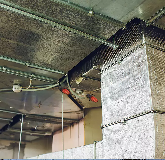 Why Homeowners & Businesses Trust Us in Marion, IA?