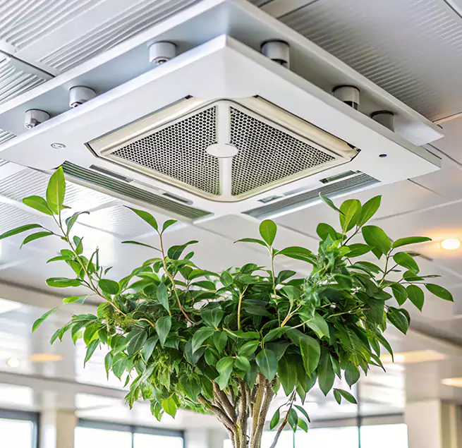 Why Homeowners & Businesses Trust Us in Marion, IA